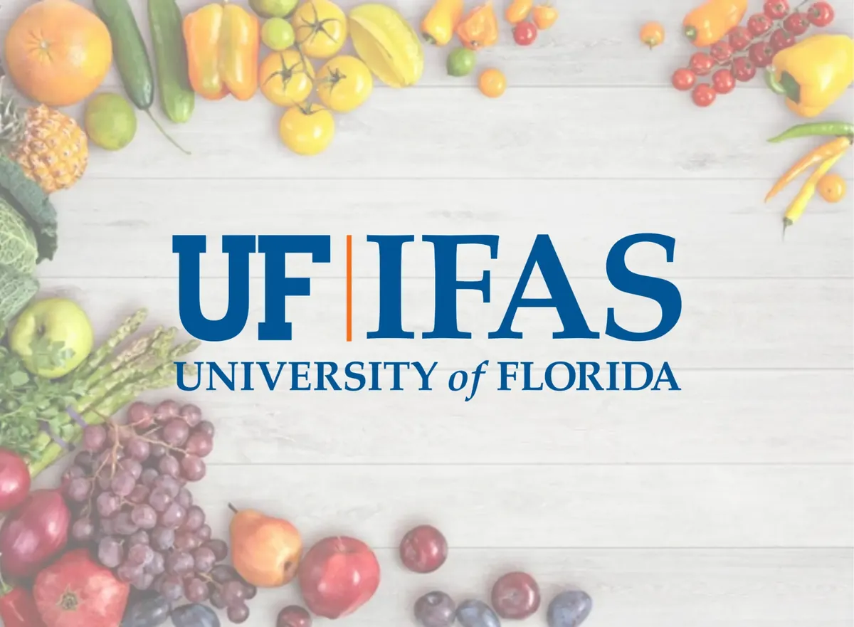 IFAS Travel Grant