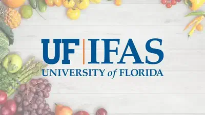 IFAS Travel Grant featured image