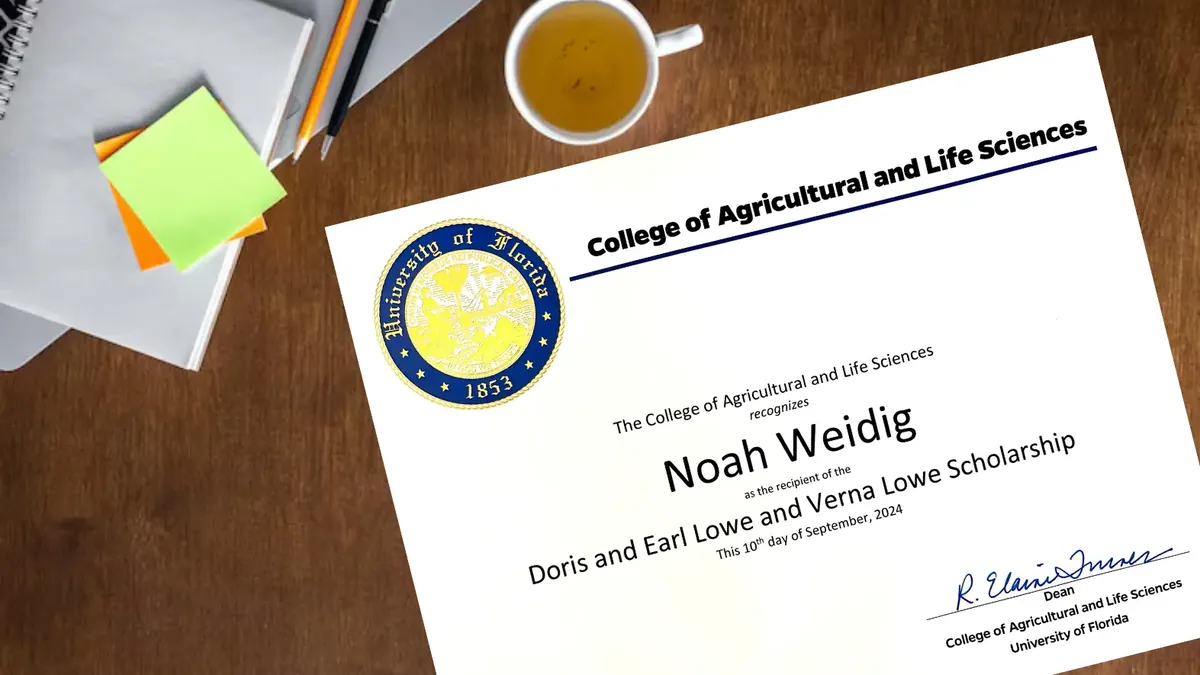 Doris and Earl Lowe and Verna Lowe Scholarship