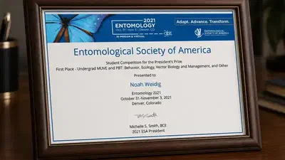 1st Place, Undergraduate Student Poster Competition featured image