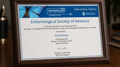 1st Place, Undergraduate Student Poster Competition featured image