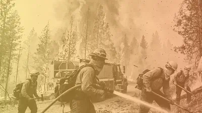 Wildfire Risk featured image