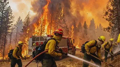 Wildfire Risk featured image