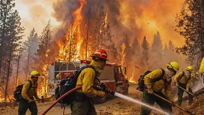 Wildfire Risk featured image