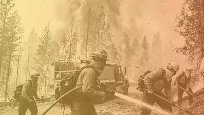 Wildfire Risk featured image