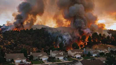 WUI Wildfire Explorer featured image
